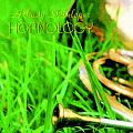 Hornology