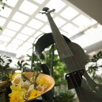 Донская публичная библиотека представляет в Ростове-на-Дону фестиваль «Джазовая весна в Публичке» Джазовая весна в Публичке-2026