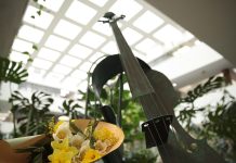 Донская публичная библиотека представляет в Ростове-на-Дону фестиваль «Джазовая весна в Публичке» Джазовая весна в Публичке-2026